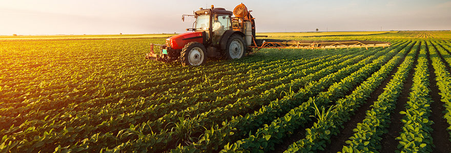 business plan de l’exploitation agricole